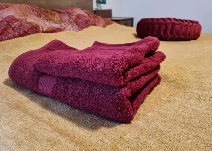 Appartement Blacksmith Kropa